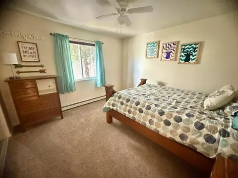 300 Elderberry Dr, Fruita, CO 81521 photo 22