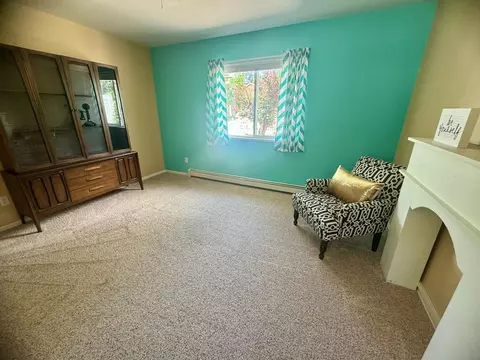 300 Elderberry Dr, Fruita, CO 81521 photo 26