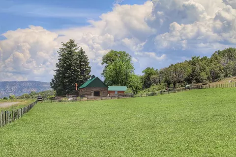 55945 Oe Rd, Collbran, CO 81624 photo 39