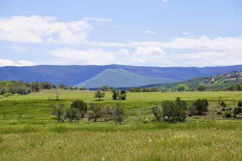 55945 Oe Rd, Collbran, CO 81624 photo 32
