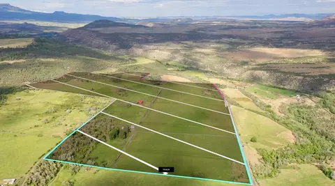 55945 Oe Rd, Collbran, CO 81624 photo 42
