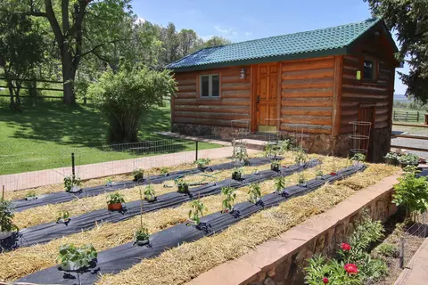 55945 Oe Rd, Collbran, CO 81624 photo 22