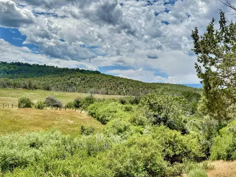 55945 Oe Rd, Collbran, CO 81624 photo 38