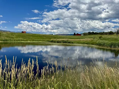 55945 Oe Rd, Collbran, CO 81624 photo 3