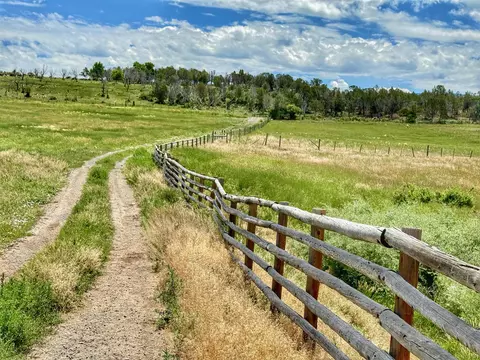 55945 Oe Rd, Collbran, CO 81624 photo 37