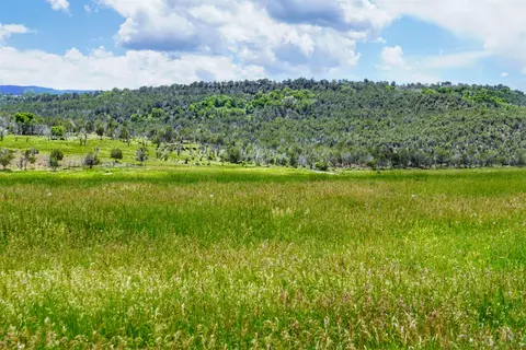55945 Oe Rd, Collbran, CO 81624 photo 33