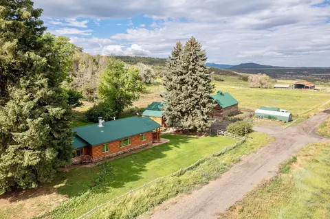 55945 Oe Rd, Collbran, CO 81624 photo 40