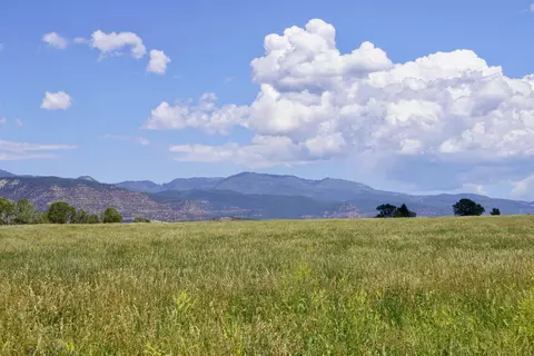 55945 Oe Rd, Collbran, CO 81624 photo 4