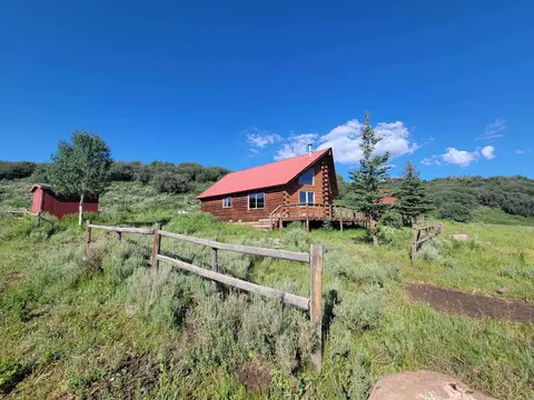 69855 E Highway 330, Collbran, CO 81624 photo 2