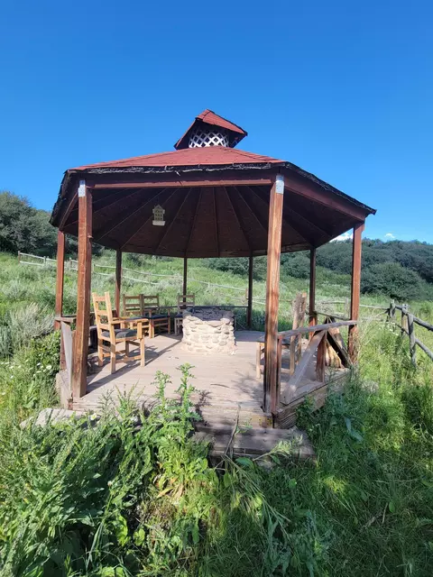 69855 E Highway 330, Collbran, CO 81624 photo 10