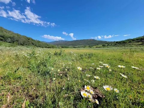 69855 E Highway 330, Collbran, CO 81624 photo 8