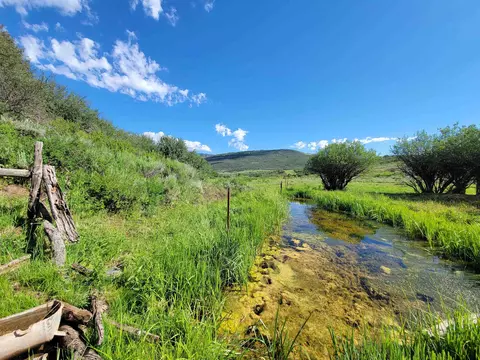 69855 E Highway 330, Collbran, CO 81624 photo 4