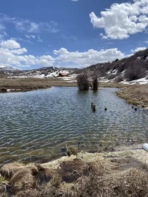 69855 E Highway 330, Collbran, CO 81624 photo 39