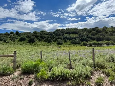 69855 E Highway 330, Collbran, CO 81624 photo 12