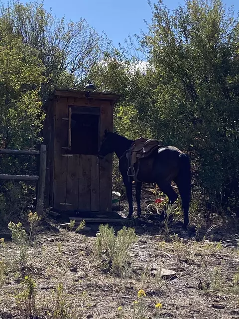 69855 E Highway 330, Collbran, CO 81624 photo 37