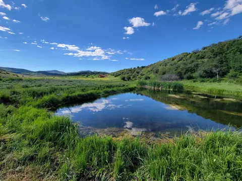 69855 E Highway 330, Collbran, CO 81624 photo 3