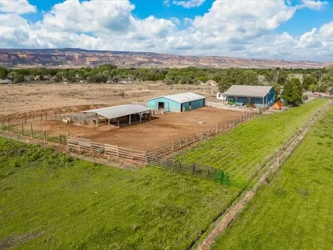 1178 18 12 Rd, Fruita, CO 81521 photo 12