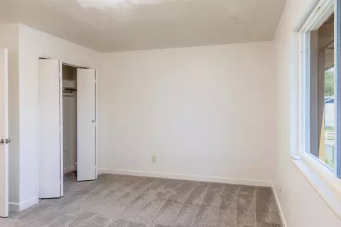 911 William Ct #E, Palisade, CO 81526 photo 20