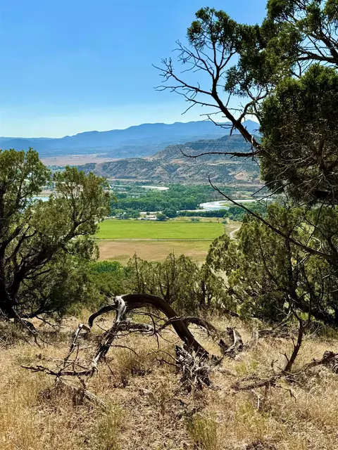4725 V 510 Rd, De Beque, CO 81630
