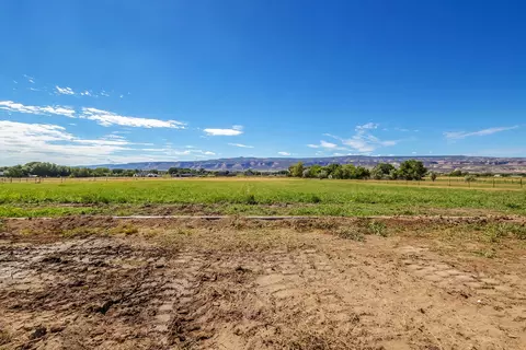 1665 L 12 Rd, Fruita, CO 81521 photo 10