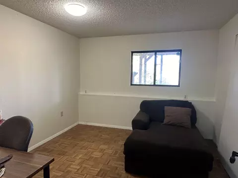 37 Hackberry Ln, Parachute, CO 81635 photo 13