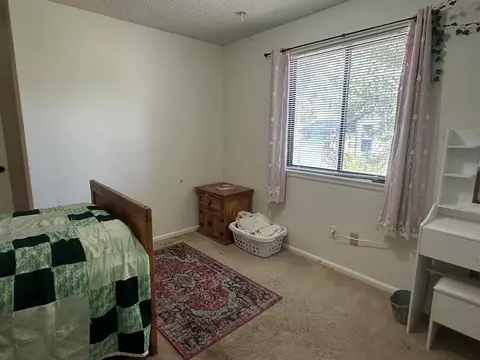 37 Hackberry Ln, Parachute, CO 81635 photo 8