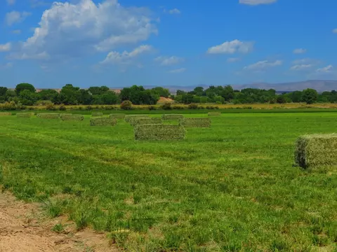 1849 7 Rd, Mack, CO 81525