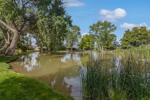 165 Sunset Dr, Fruita, CO 81521 photo 29