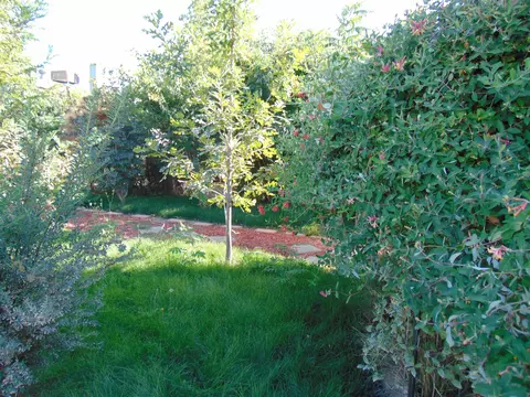 159 N Ash St, Fruita, CO 81521 photo 29