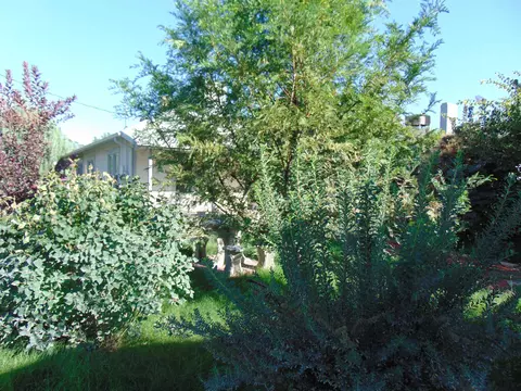 159 N Ash St, Fruita, CO 81521 photo 32