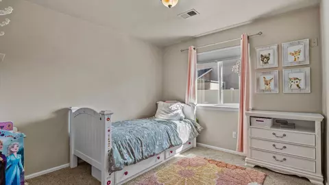 702 Dover St, Fruita, CO 81521 photo 20