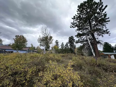 tbd Aspen Dr #439, Ridgway, CO 81432