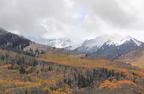 15248 Harrison Creek Rd, Collbran, CO 81624