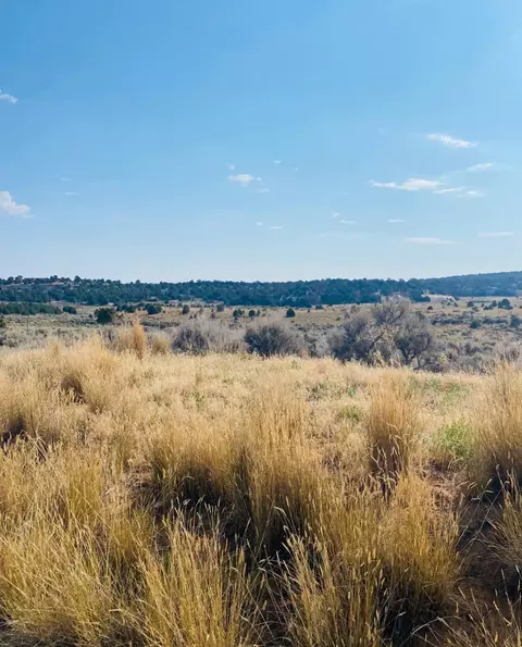 17210 Ds Rd, Glade Park, CO 81523