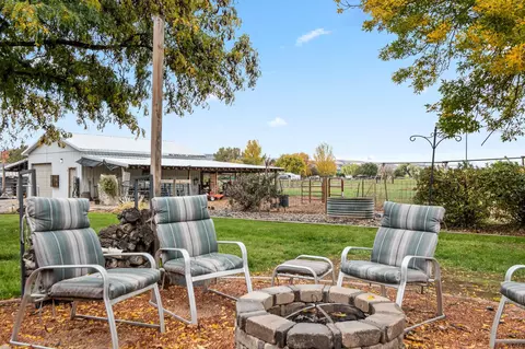 1185 17 12 Rd, Fruita, CO 81521 photo 29