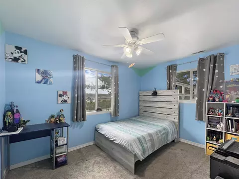 26767 Cedar Mesa Rd, Cedaredge, CO 81413 photo 8