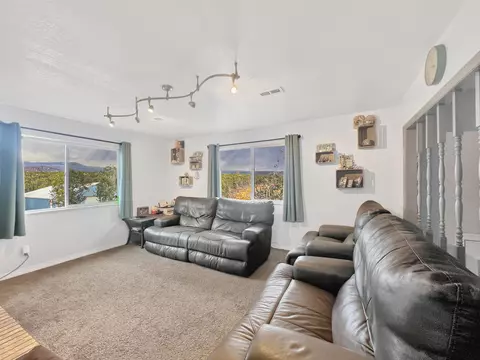 26767 Cedar Mesa Rd, Cedaredge, CO 81413 photo 4