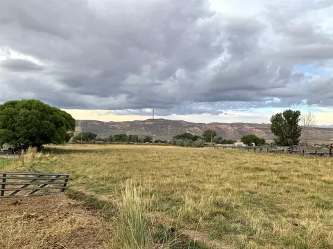 875 20 Rd, Fruita, CO 81521 photo 19