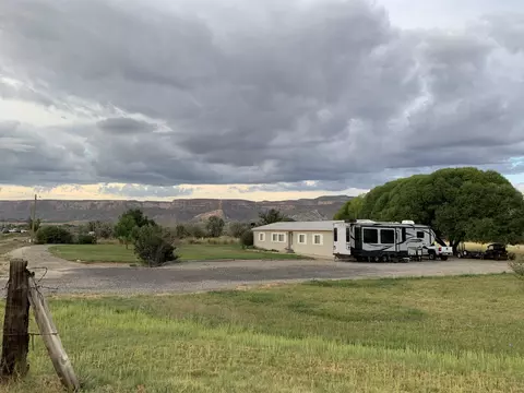 875 20 Rd, Fruita, CO 81521 photo 17