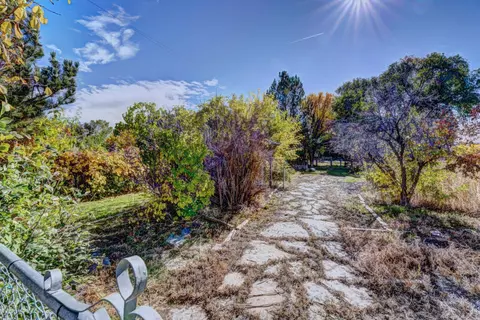 1441 17 12 Rd, Fruita, CO 81521 photo 23
