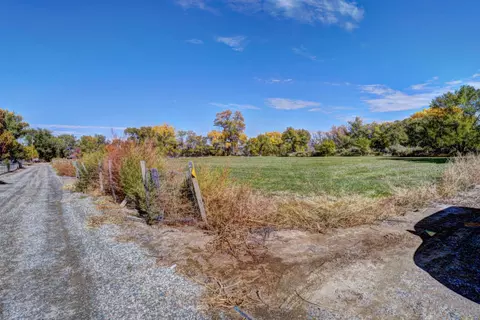 1441 17 12 Rd, Fruita, CO 81521 photo 27