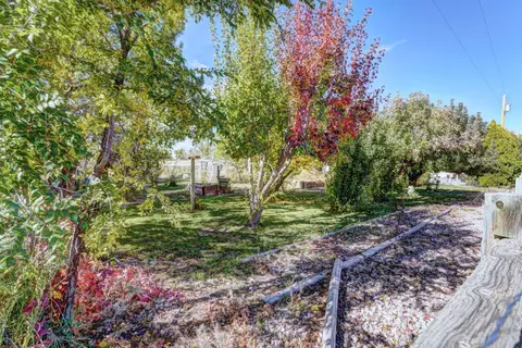 1441 17 12 Rd, Fruita, CO 81521 photo 31