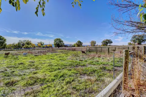 1441 17 12 Rd, Fruita, CO 81521 photo 25