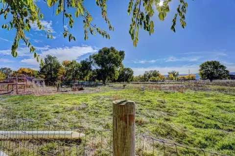 1441 17 12 Rd, Fruita, CO 81521 photo 24
