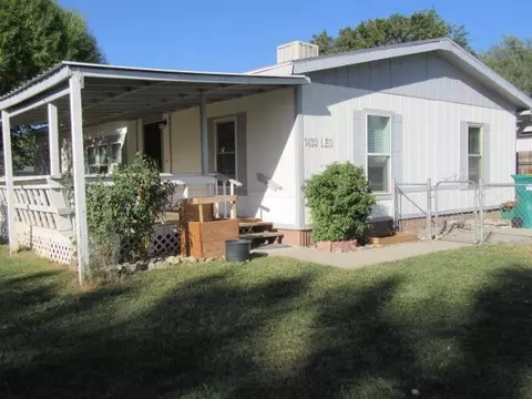 1433 Leo Ave, Fruita, CO 81521