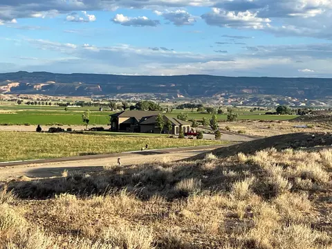 1676 White Falcon Ct, Loma, CO 81524