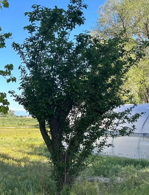 628 S Rd, Mack, CO 81525 photo 21