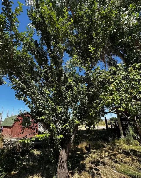 628 S Rd, Mack, CO 81525 photo 16