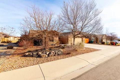 1036 Wingate Dr, Fruita, CO 81521 photo 39