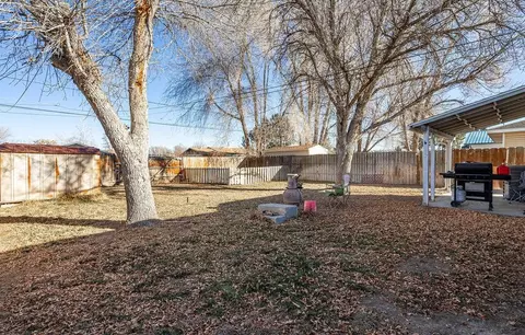 1027 E Harrison Ave, Fruita, CO 81521 photo 25